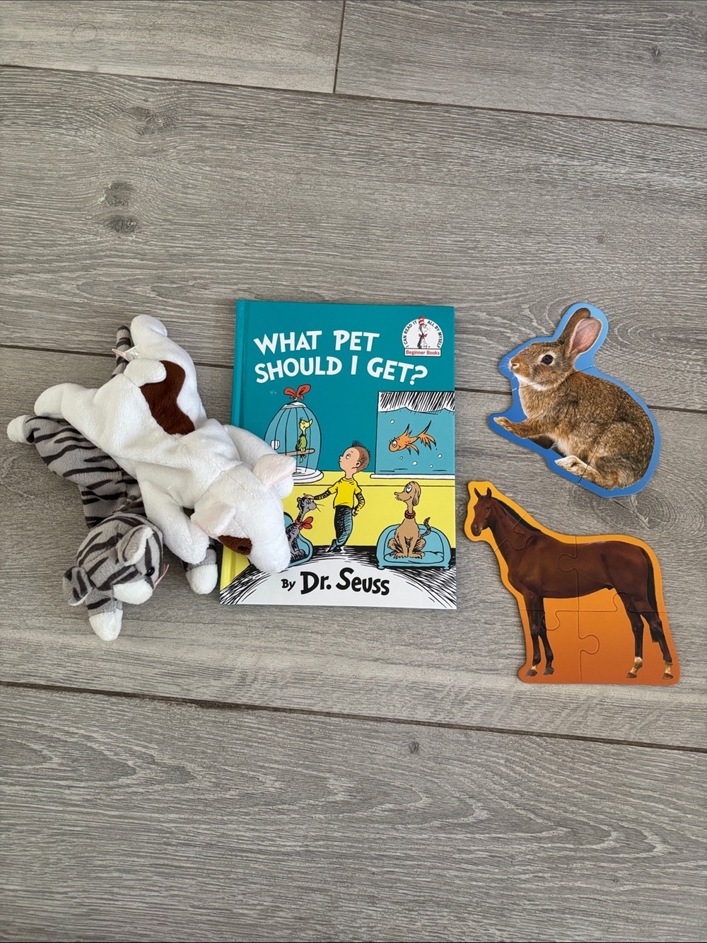 Dr. Seuss Pet Themed Book and Toy Bundle